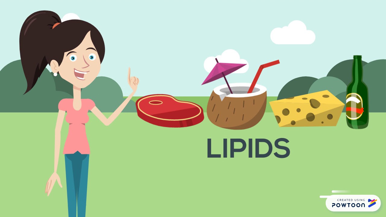 Biomolecules Youtube