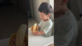 현우인생698일차 황사장 아침부터 바나나 맛나게 드시네요ㅎㅎ #육아 #babyboy #baby #아기 #베이비모델 #베이비모델 #베이비브이로그 #赤ん坊 #아들육아