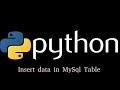 Python with Mysql tutorial- Insert Data in Table