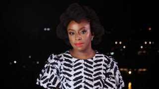 Chimamanda Ngozi Adichie's Trans comments in 2017
