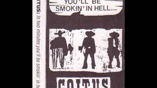 Coitus - In Two Minutes You'll Be Smoking In Hell