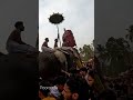 kattakambal pooram thrissur kerala elephant pooram fireworks aana shortsfeed travel