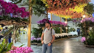 Эксклюзивное с Выставки TIOS-2024 Taiwan Orchids Show WOC | ВТОРАЯ ЧАСТЬ