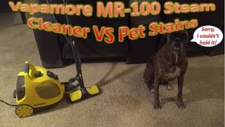 Vapamore MR-100 Steam Cleaner VS Pet Stains | How Powerful Is Steam Cleaning?