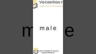 VocabDaily Learn Vocabulary Fast with Audio Flashcards! male #VocabDaily #English #shorts