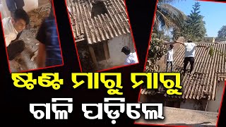 ଷ୍ଟଣ୍ଟ ମାରୁ ମାରୁ ଗଳି ପଡ଼ିଲେ  | Odisha Reporter