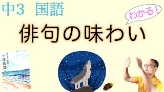 俳句の味わい【中３国語】教科書〈渡り鳥・おおかみ・ずぶぬれ・火焔土器〉の解説〈堀本裕樹〉教育出版