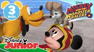 Mickey And The Roadster Racers |  Phoebe The Puppy Is Lost  🐶 | Disney Kids