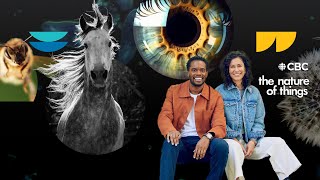 Meet the new hosts of The Nature of Things: Sarika Cullis-Suzuki and Anthony Morgan