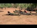 KNDF (Karenni Army) Training