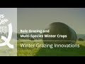 Winter Grazing Innovations by Quorum Sense  -TRAILER