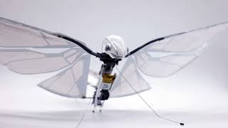 Metafly Bionic Bird