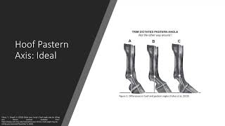 How different shoeing methods affect the horses kinematics and kinetics - Biomechanics presentation