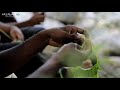 how to make bird with palm leaf coconut leaf bird simple tutorial kaivelakoottam