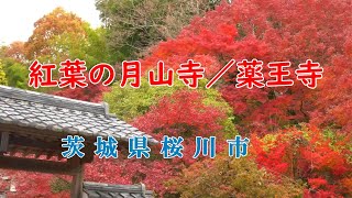 月山寺／薬王寺の紅葉(茨城県桜川市））