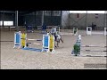 4yo breedingstallion Zirocco Jr. @ training