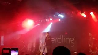 Erdling - Aus den Tiefen (\u0026 Intro) 07.01.2017 München