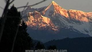 Riding through Uttaranchal : Panchachuli peaks from Lohaghat-Pithoragarh axis