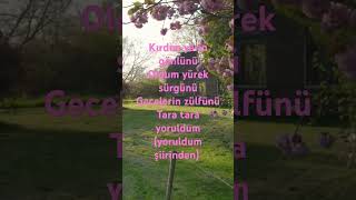 #aşk #hasret #özlem #sevda #gurbet #edebiyat