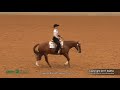 a judge s perspective 2017 aqha select western horsemanship world champion