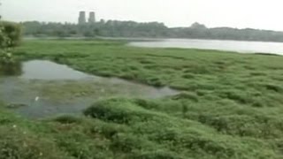 As Bengaluru's lakes die, Karnataka seems without a road-map to save them