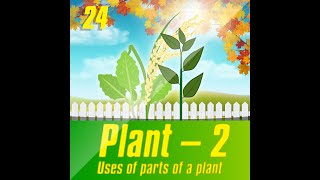 Parts of a plant and their functions | Roots | Stem | Leaves | Flowers | kids video