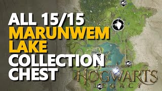 Marunweem Lake Collection Chest Hogwarts Legacy All 15/15