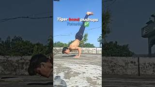 Tiger band pushups tutorial ✅⚡️ #calisthenics #pushups #shorts