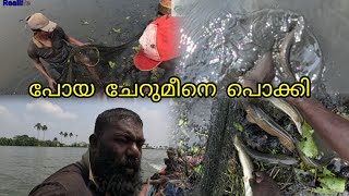 പോയ ചേറുമീനെ പൊക്കി #reallife #realfishing #keralafishing #indiafishing #kayalfishing #kuttanadanfis