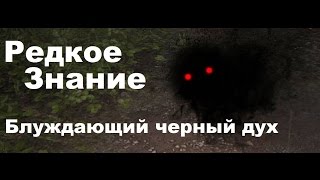 Black Desert Редкое знание - Блуждающий черный дух