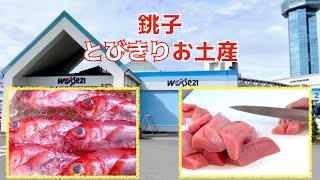 【グルメ】銚子土産　ウォッセ21前編【海鮮】かっぱコレNo.236