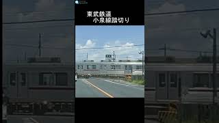 東武鉄道小泉線踏切り ２両編成のローカル線を増やしてみました。#shorts