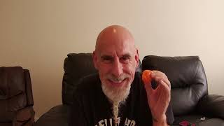 POD REVIEW.....FREEPORT ORANGE SCOTCH BONNET....from Seriously Hot Peppers! Such a great pepper!