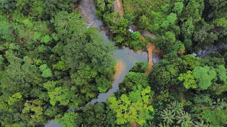 Dellawa Sri Lanka 💜 #visitsrilanka