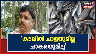 Fisherman Crisis | 'മത്സ്യത്തൊഴിലാളികളുടെ പട്ടിണി മാറ്റിയിരുന്ന മത്സ്യമായിരുന്നു ചാള'