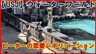 【USJ】ウォーターワールド ピーター「音は無いけど音が聞こえてきそうなブーイング」