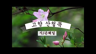 [손해일시낭송]고향 산철쭉/손해일(낭송:손해일,영상:봉경미) 좋은시, 명시,유명시, 어머니,고향