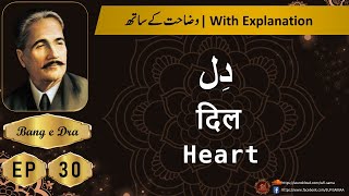 dil allama iqbal  + Tashreeh  |  Allama iqbal poetry |  kulyat e iqbal | Bang e Dra 30