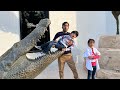 Crocodiles 🐊 || The Amazing World 🌍 | learn about Animals!