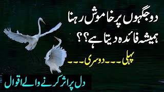 2 Jagho pr hamesha khamosh rahain | Most Beautiful Urdu Quotes | Hazrat Ali Ra Quotes