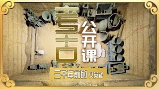 20平方米大小的墓葬中出土青铜器1.6吨 一位3000年前的传奇女子横空出世！《考古公开课》三千年前的女英雄 丨 中华国宝