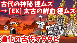 進化の古代マタタビ - [1]古代の神秘 極ムズ → [EX]太古の鮮血 極ムズ【攻略】にゃんこ大戦争