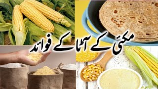 Health benefits of maize flour|مکئی کے آٹا کے فوائد|@runnywrites