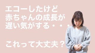 超音波検査(エコー)で赤ちゃんが小さいと言われたけど大丈夫？