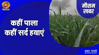 Muasam Khabar : मौसम खबर - कहीं पाला कहीं सर्द हवाएं | Weather Updates