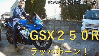 #suzuki＃GSX250R#モトブログ　GSX250ラッパホーン♪