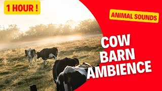 1 Hour COW BARN AMBIENCE | Cow Sounds | Cow MOOOOH #cow #cows #barn #farmanimals