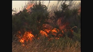 44 incendios se mantienen activos en Chile