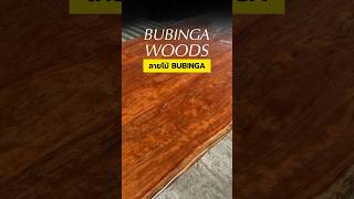 ลายไม้ BUBINGA ราชา ไม้แอฟริกา ท็อปไม้หายาก สำหรับทำโต๊ะทานข้าวไม้แผ่นเดียว ไม่ต่อแผ่น #bubinga