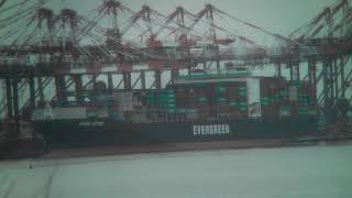 Timelapse: Maher Terminal | Evergreen's Ever Lotus